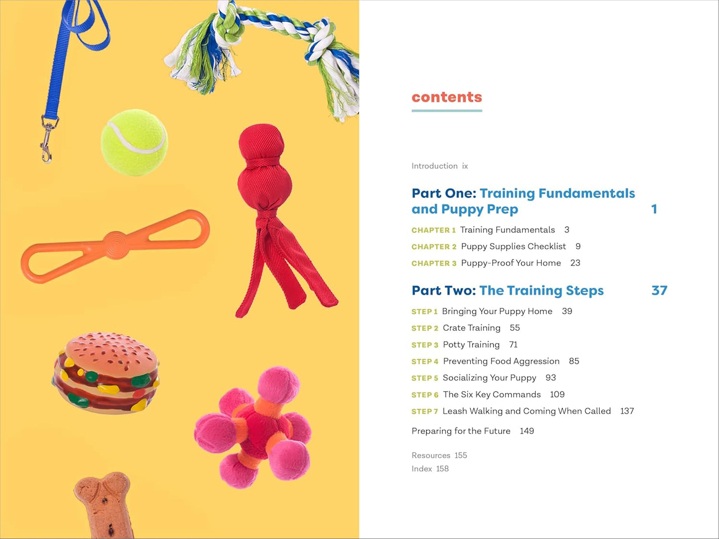 Master Puppy Training in Just 7 Simple Steps: Your Ultimate Guide to Raising the Perfect Dog!