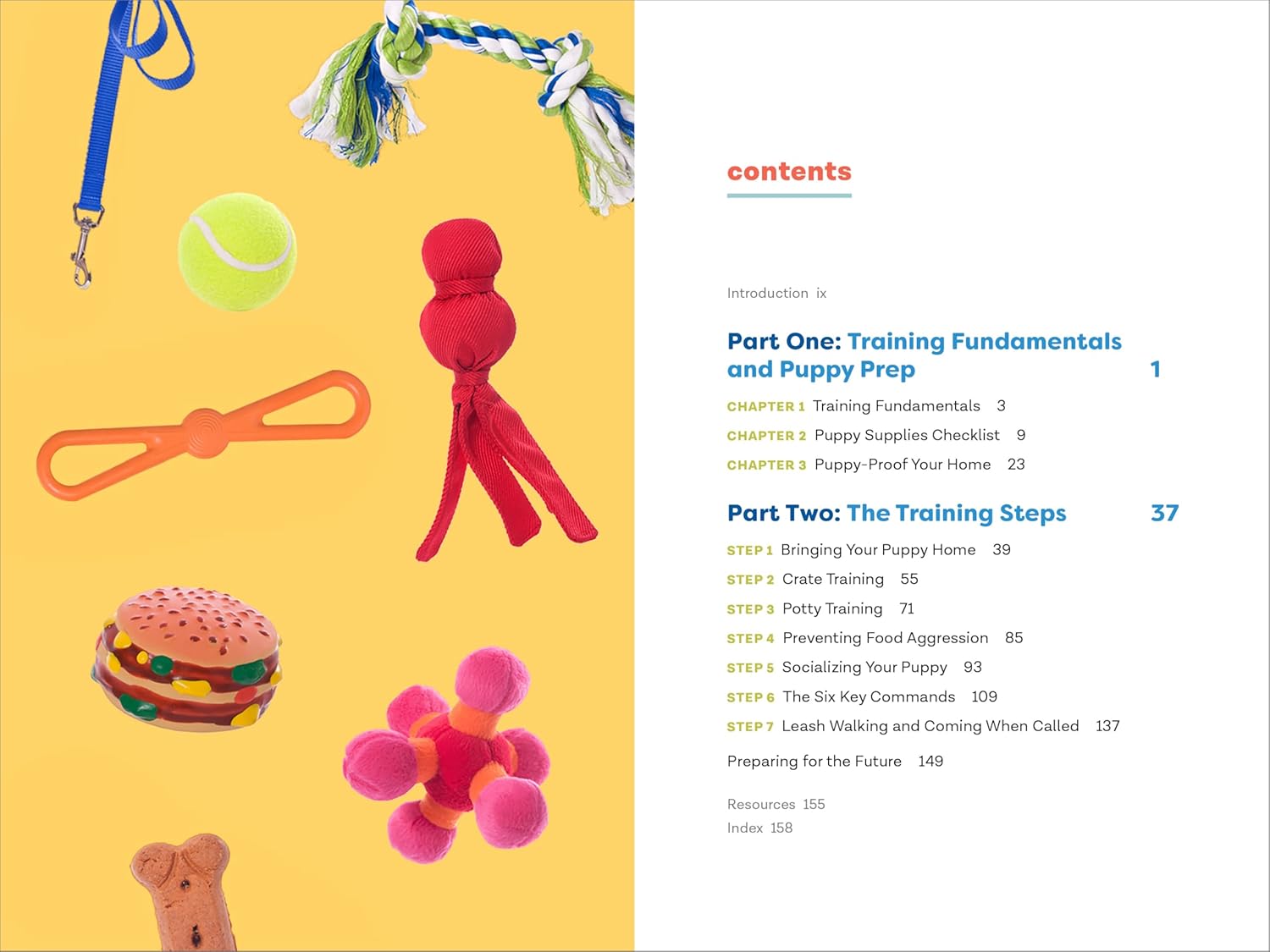 Master Puppy Training in Just 7 Simple Steps: Your Ultimate Guide to Raising the Perfect Dog!