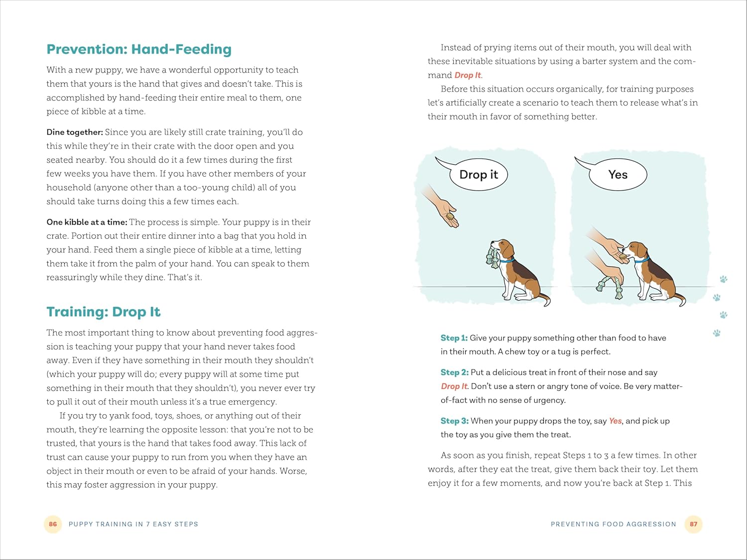 Master Puppy Training in Just 7 Simple Steps: Your Ultimate Guide to Raising the Perfect Dog!