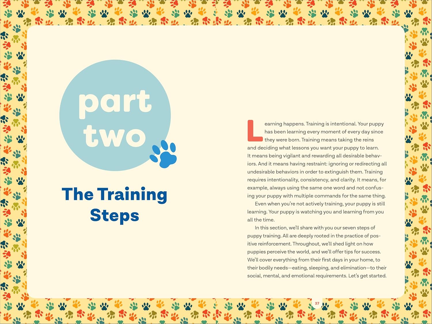 Master Puppy Training in Just 7 Simple Steps: Your Ultimate Guide to Raising the Perfect Dog!