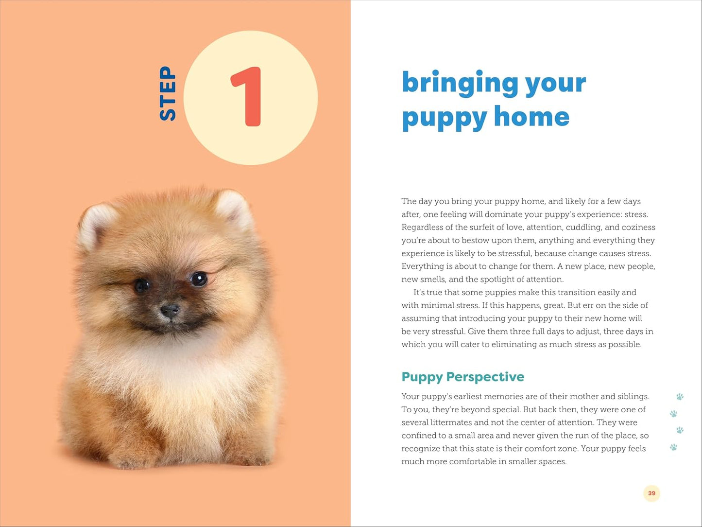 Master Puppy Training in Just 7 Simple Steps: Your Ultimate Guide to Raising the Perfect Dog!