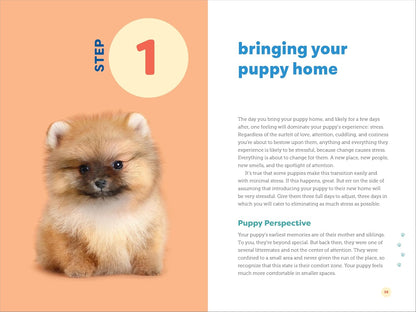 Master Puppy Training in Just 7 Simple Steps: Your Ultimate Guide to Raising the Perfect Dog!