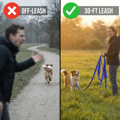 Dog Training Kit & Puppy Starter Set with 30Ft Long Leash – Complete Recall System W/Magnetic Treat Pouch, Clicker, Collapsible Bowl & Waste Bags – Professional Tools (Navy Blue)
